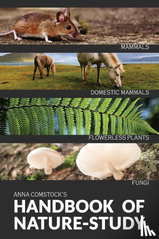 Comstock, Anna - The Handbook Of Nature Study in Color - Mammals and Flowerless Plants