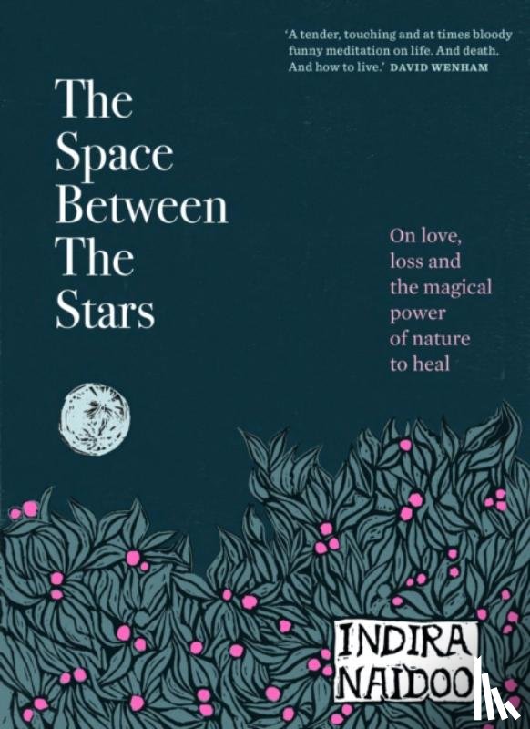 Naidoo, Indira - The Space Between the Stars