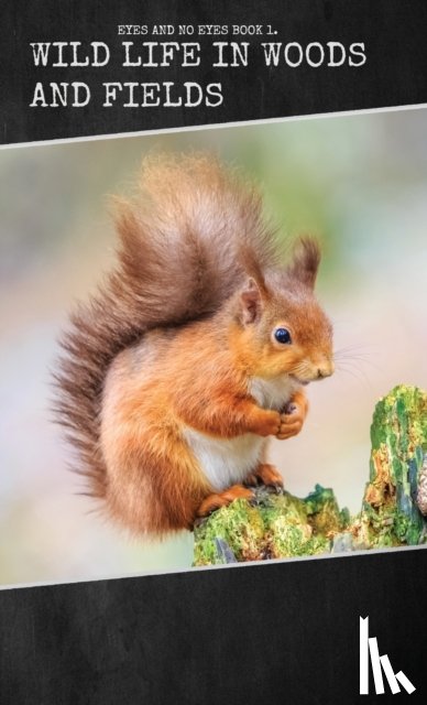 Buckley, Arabella - Wild Life in Woods and Fields