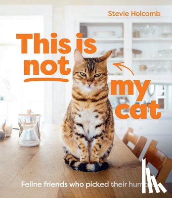Holcomb, Stevie - This is not my cat