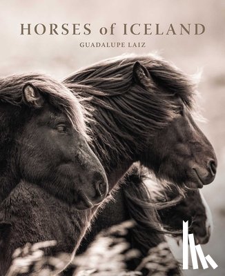 Laiz, Guadalupe - Horses of Iceland
