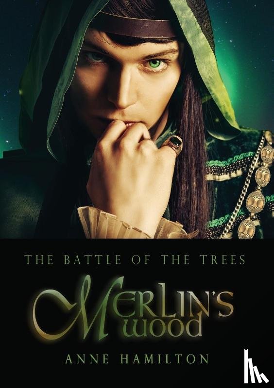Hamilton, Anne - Merlin's Wood