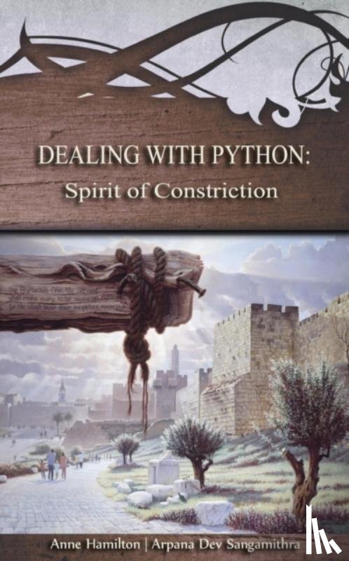 Hamilton, Anne - Dealing with Python