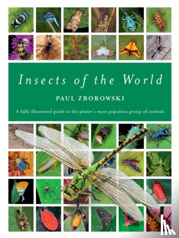 Zborowski, Paul - Insects of the World
