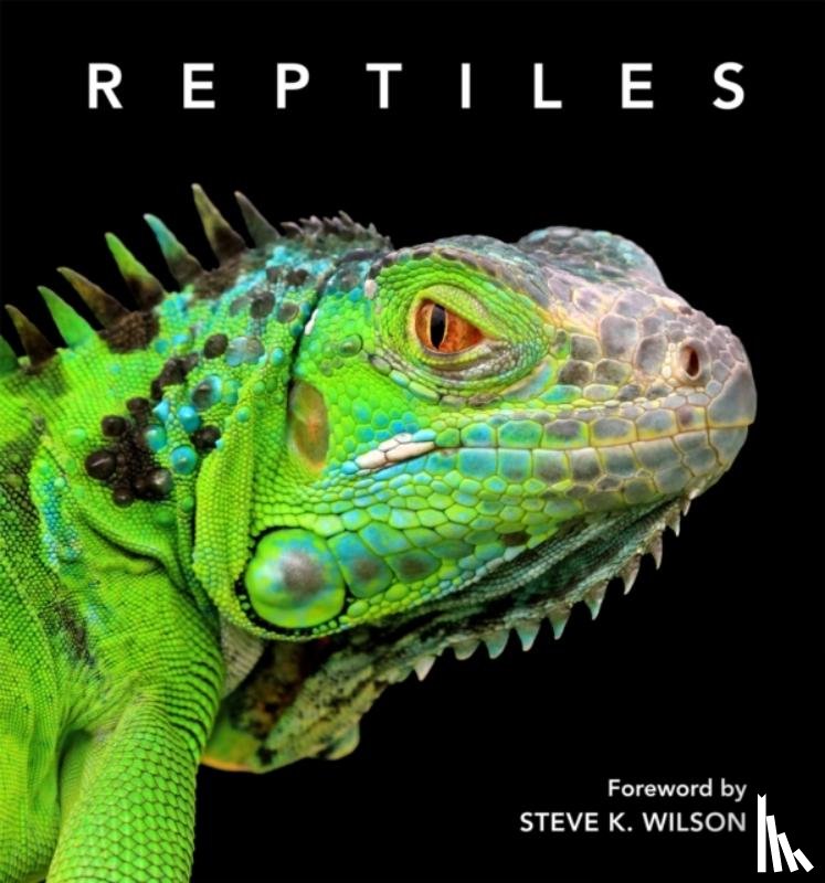 Wilson, Steve - Reptiles