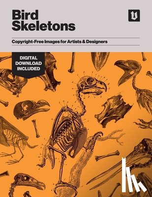 James, Kale - Bird Skeletons