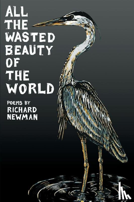 Newman, Professor Richard (Harvard University) - All the Wasted Beauty of the World