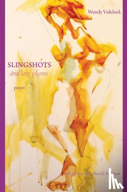 Videlock, Wendy - Slingshots and Love Plums