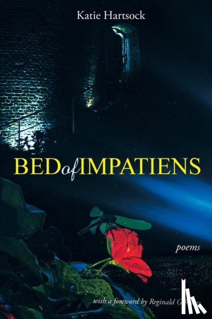 Hartsock, Katie - Bed of Impatiens