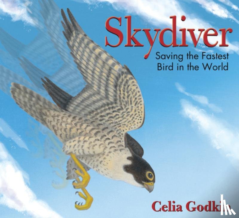 Godkin, Celia - Skydiver