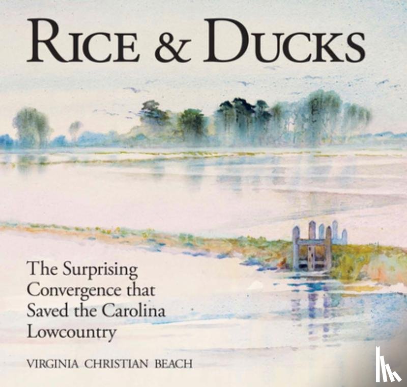Beach, Virginia - Rice & Ducks