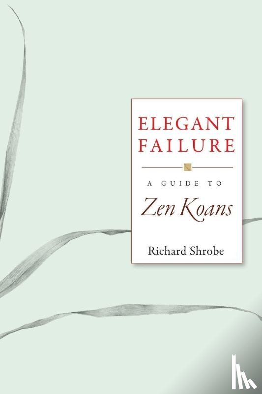 Shrobe, Richard - Elegant Failure