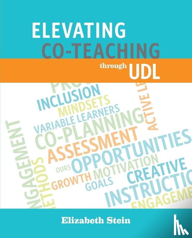Elizabeth Stein - Elevating Co-Teaching through UDL