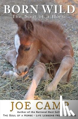 Camp, Joe - Born Wild - The Soul of a Horse