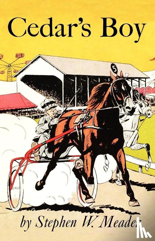 Meader, Stephen W. - Cedar's Boy