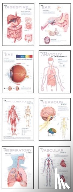Scientific Publishing - Human Anatomy Chart Pack