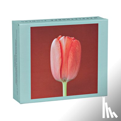 The Robert Mapplethorpe Foundation - Mapplethorpe Flowers QuickNotes