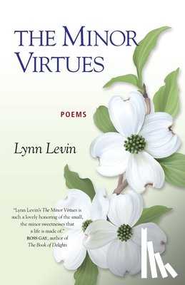 Levin, Lynn - The Minor Virtues