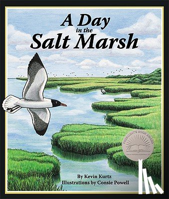 Kurtz, Kevin - A Day in the Salt Marsh