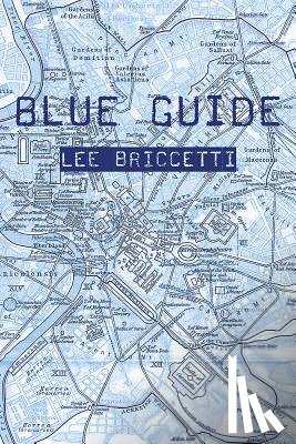 Lee Briccetti - Blue Guide