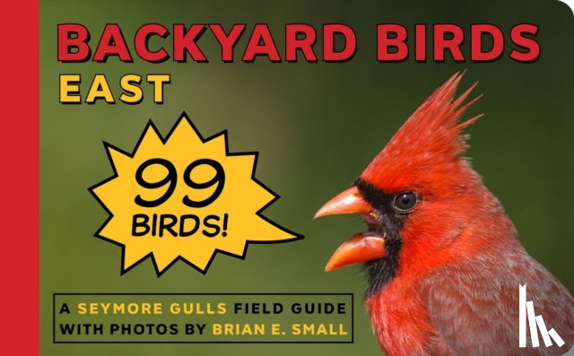Gulls, Seymore - Backyard Birds