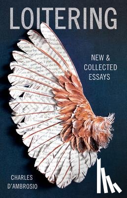 D'Ambrosio, Charles - Loitering: New and Collected Essays