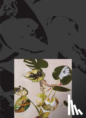 Williams, Kandis - Kandis Williams: A Surface