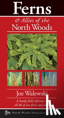 Walewski, Joe - Ferns & Allies of the North Woods