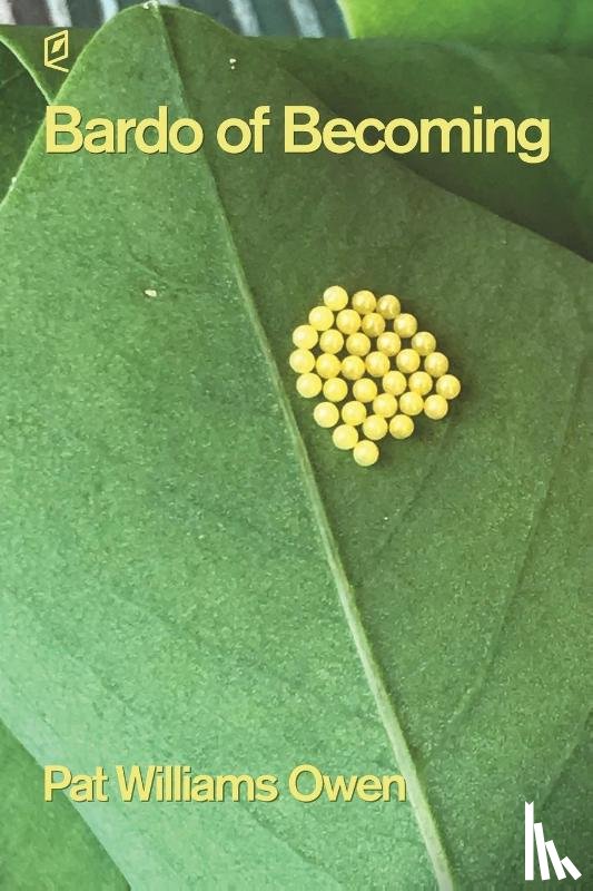 Owen, Pat W - Bardo of Becoming