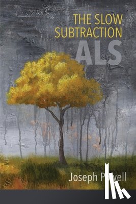 Powell, Joseph - The Slow Subtraction