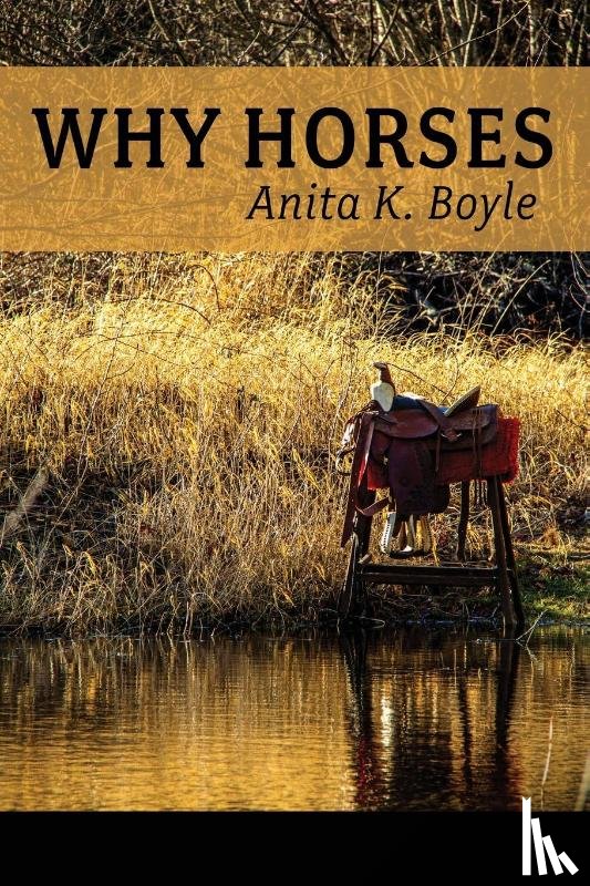 Boyle, Anita K - Why Horses