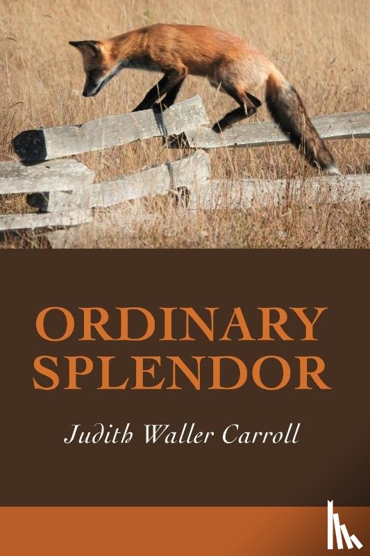 Carroll, Judith Waller - Ordinary Splendor