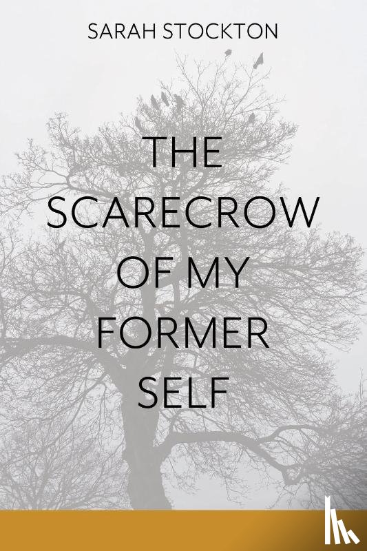 Stockton, Sarah - The Scarecrow of My Former Self