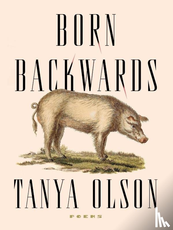 Olson, Tanya - Born Backwards