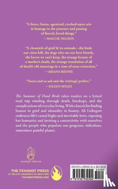 Liebegott, Ali - The Summer Of Dead Birds