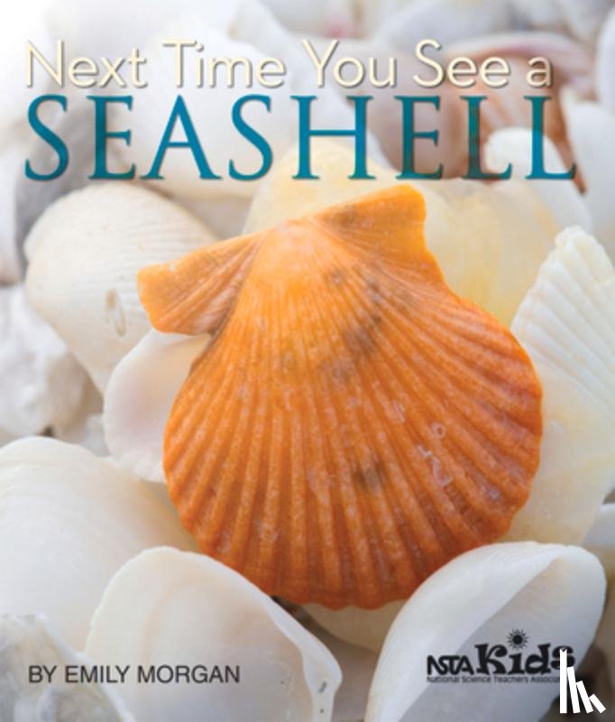 Morgan, Emily - Next Time You See a Seashell