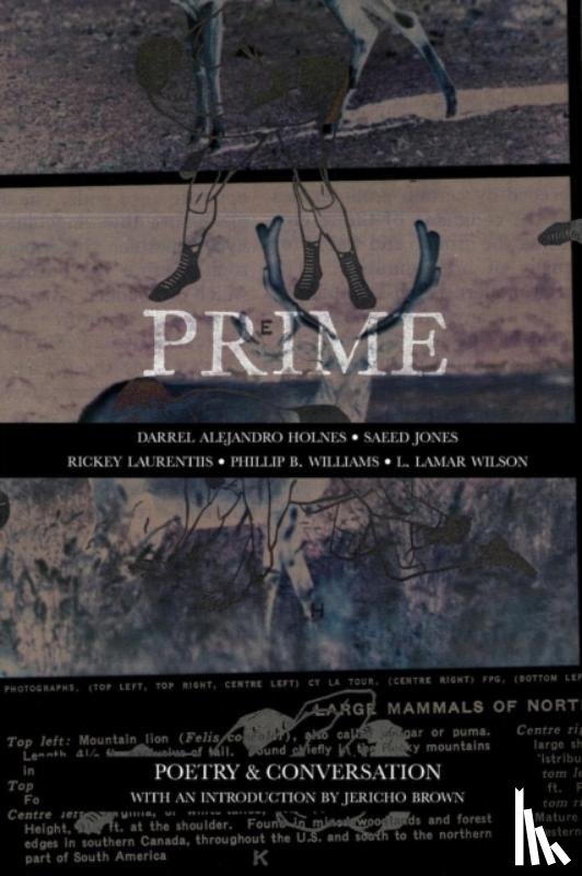 Holnes, Darrel Alejandro, Jones, Saeed, Williams, Phillip B - Prime