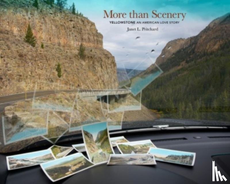 Pritchard, Janet L - More than Scenery