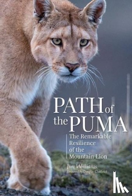 Williams, Jim - Path of the Puma
