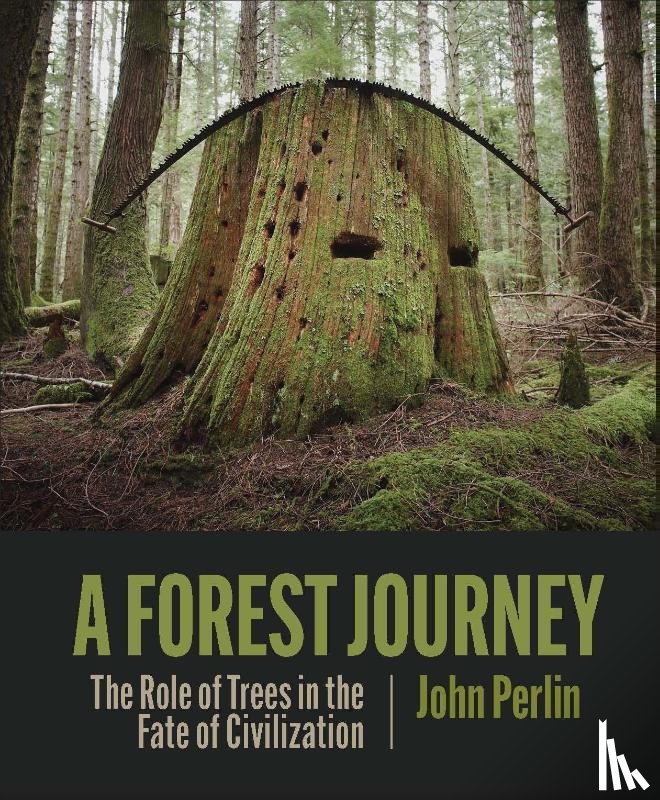 Perlin, John - The Forest Journey