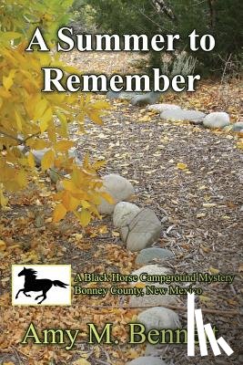 Bennett, Amy M. - A Summer to Remember