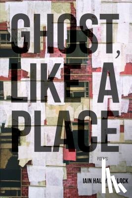 Pollock, Iain Haley - Ghost, Like a Place