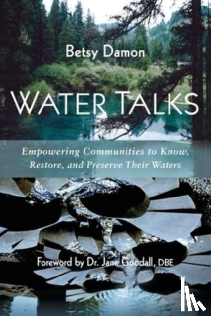Damon, Betsy - Water Talks