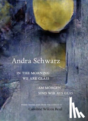 Schwarz, Andra - In the morning we are glass