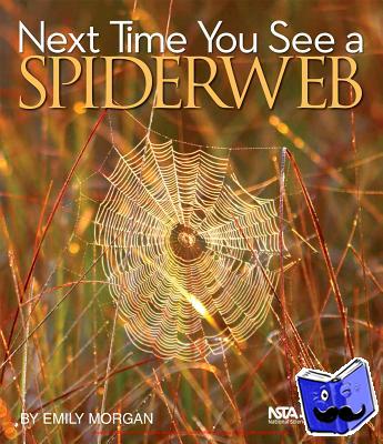 Morgan, Emily - Next Time You See a Spiderweb