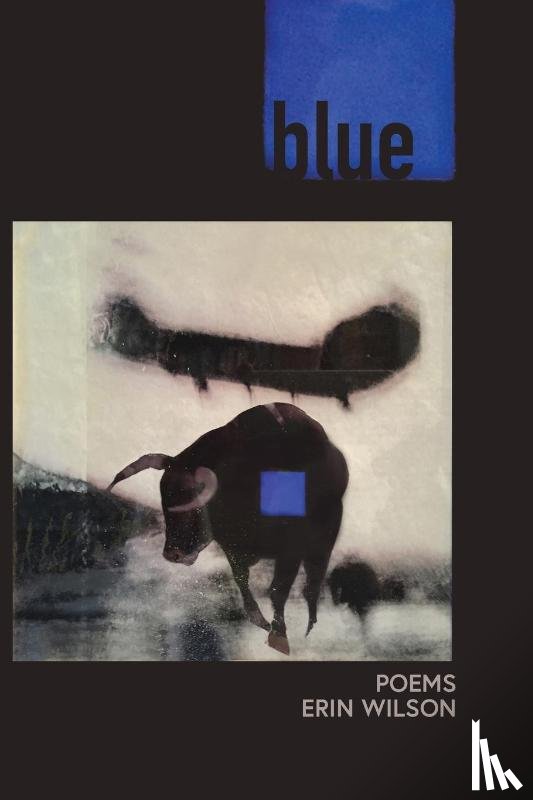 Wilson, Erin - Blue