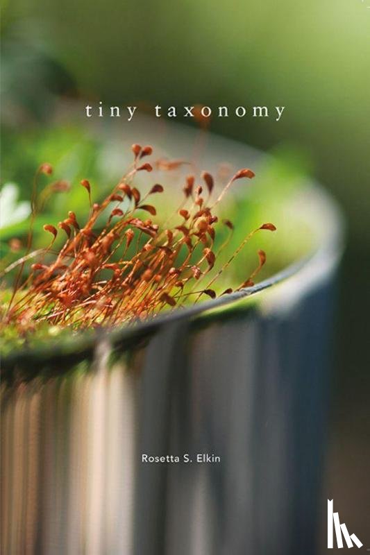  - Tiny Taxonomy