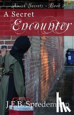Spredemann, J. E. B. - A Secret Encounter (Amish Secrets #2)