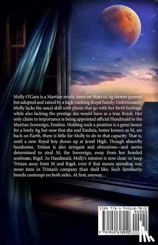 Hiatt, Brenda - The Handmaid's Secret