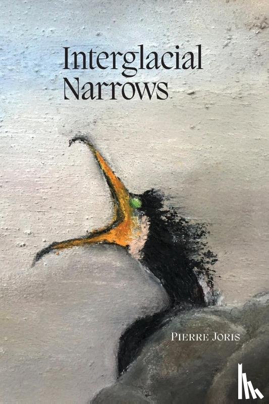 Joris, Pierre - Interglacial Narrows
